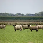 Reetdachhaus Moordeichperle
