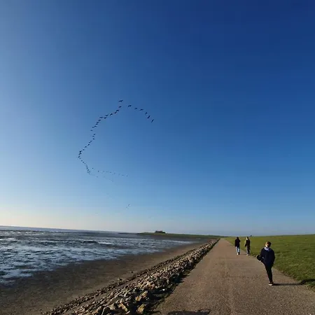 Reetdachhaus Moordeichperle *