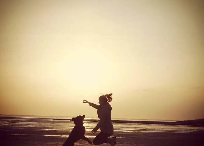 Reetdachhaus Moordeichperle *